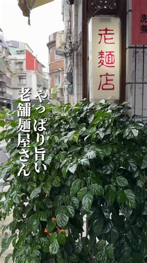 たいわんめし on Instagram: "ローカルの路地裏にある老麵店🍜 特製4種のタレをかけた乾麵が、無性に行きたくなるリピート店♻️ スープも麺とあって旨い🤤 #老麵店 台北市大同區迪化街二段215-8號"