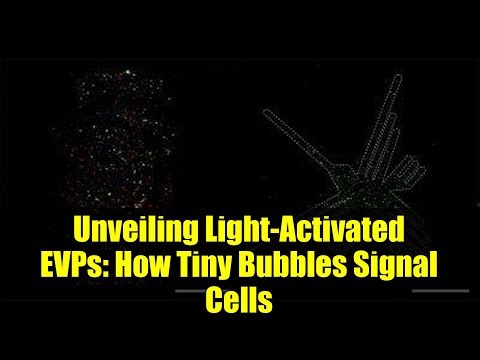 Unveiling Light-Activated EVPs: How Tiny Bubbles Signal Cells | Groundbreaking Lead from Ohio State