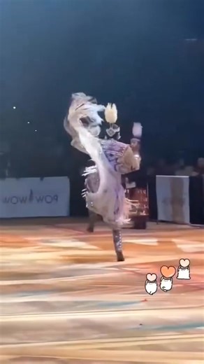 If you support Native American people’s, history & culture 🥰Say.. “Yes. | Native Lovers Society