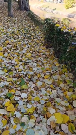 Sarajevo | BiH meteo