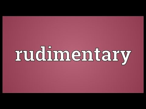 Rudimentary Meaning