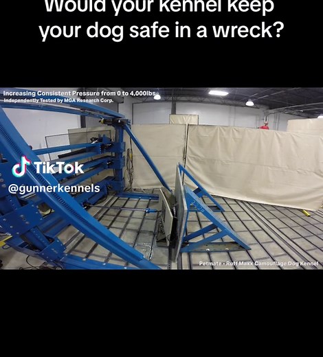 Keep Your Dogs Safe with Lucky Duck Kennel vs Gunner Kennel Comparison