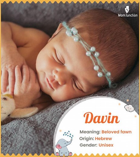 Davin Name Meaning, Origin, History, And Popularity
