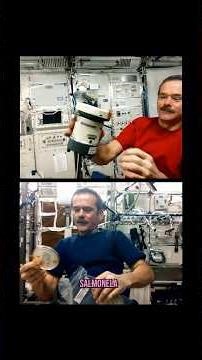 🎄👩🏻‍🚀🧬 Día 13: supervirulencia de bacterias en el espacio ✨