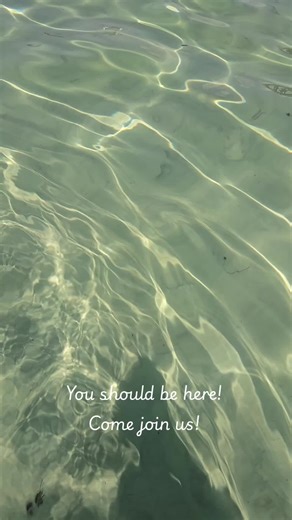 You should be here for Spring Break! Come join us! Book with your 2025 Crabby Award Winner!!!! 859-486-8701 www.endlessweekendpontoons.com #destinflorida #crabisland #endlessweekendpontoons #bachelorette #springbreak @Rave Sports @calobana-pool floats