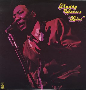 Muddy Waters - Live