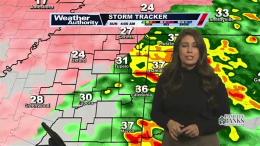 11:50 AM - WTVA Chief Meteorologist Chelsea Simmons provides an update on the current ice storm. | WTVA 9 News