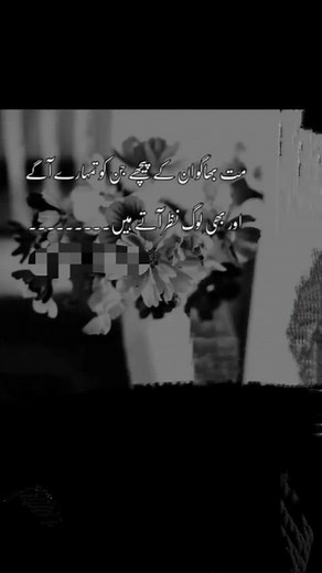 Sana S (@ssnak37)’s videos with original sound - 𝄟⃝🅰️ysh🇵𝐚𝐫𝐢𝓝𝓲𝓼𝓱𝓪✍