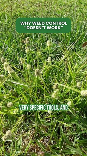 🚫 Why Weed Control “Doesn’t Work” Most weed problems don’t happen because homeowners ignore their lawn. They happen because the wrong tools are used at the wrong time. Think of weed control like a toolbox 🧰 You wouldn’t use one tool to fix everything. Here’s the reality: - There’s no single product that kills every weed - Some weeds need very specific treatments - Some need to be treated more than once - Timing matters just as much as the product That’s why some weeds disappear fast… and other