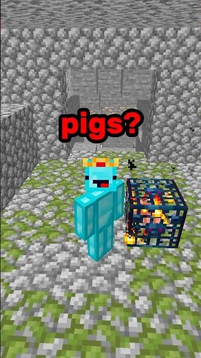 Minecraft Pig Spawner?! ⛏💎