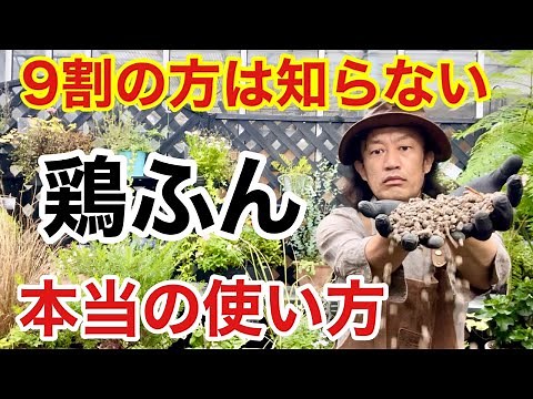 [No one uses it] Chicken manure is actually a super cheap fertilizer. [Carmen-kun] [Horticulture]...