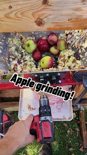 Gavan ¦¦ Woodworking on Instagram: "Apple pressing explained. Welcome Since my apple pressing video blew up and there have been tons of questions I'd thought I'd do this quick explanation of things. We started doing apple pressing about 4 years ago after going to an orchard and they had traditional presses. We loved it and decided to try our own hand at it. The design of the press I got by thinking of a hydrolic press. A few 2x6s and all thread bolts later I had a press. All the wood is UNTREATE