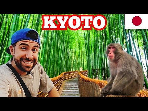 Arashiyama Monkey Park & Bamboo Forest in Kyoto, Japan