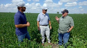 38 reactions | #SCNActionMonth may be over, but the fight against SCN never stops, you can still get your free Soil Test Kit & Analysis | BASF Agricultural Solutions | Facebook