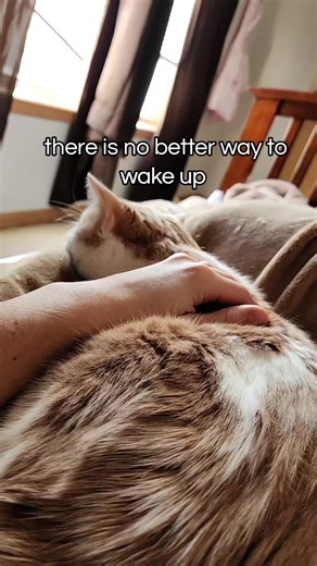 My little teddy bear 😍