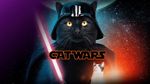 Catflix: uma plataforma para quem é apaixonado por cinema e gatos