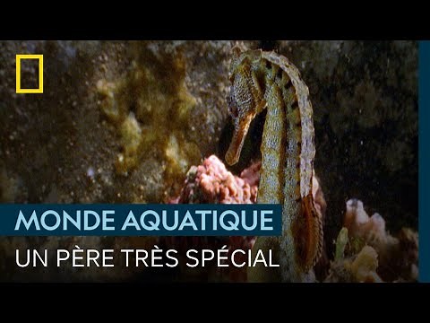 Des liens paternels très particuliers