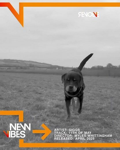 Giggs has come through with a brand new music video that he’s titled “11th of May”