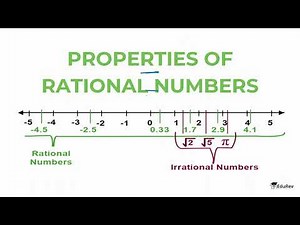 Understanding the Basics: Rational Numbers Video Lecture | Mathematics (Maths) Class 8