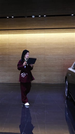 MAEXTRO S800: The Ultimate Luxury VIP Car Experience