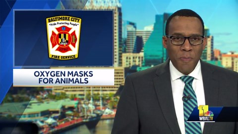 Firefighters equipped with pet oxygen masks