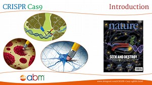 CRISPR Cas9 - A Brief Introduction