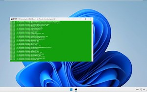 如果删除Win 11 IoT 企业版 LTSC 2025 特制适度的System32会怎样