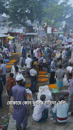 From where the fragrance of flowers spreads across the country, there is only one choice for Wi-F...