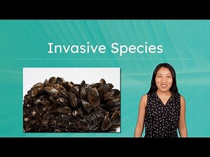 Invasive Species and Human Impact - Managing Threats to Biodiversity