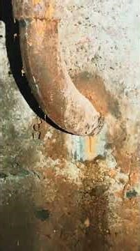 When the basement humidity hits 65% and the building starts growing its own employees.