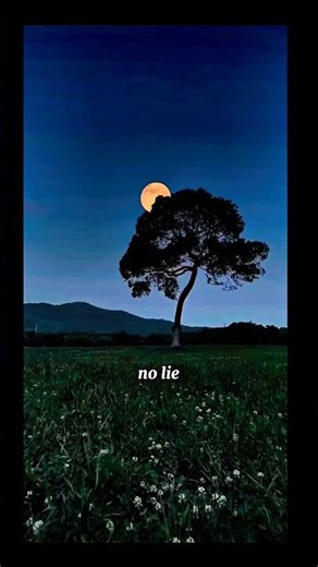 No Lie – Dua Lipa ✨ Slowed + Reverb | Aesthetic Lyrics Status