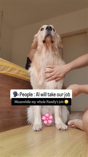 S I M B A ❤️ on Instagram: "AI vs My Dog's requirements. Who wins? . . . Follow @the_handsome_simba for more relatable content ✨️ . . . #doglife #petlover #relatable . . . [Dogs, ilovemydog, dog vs ai, family, love, dog life, pet lover, dogsofinstagram, trending]"