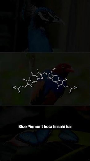 The Color Nature Can't Make