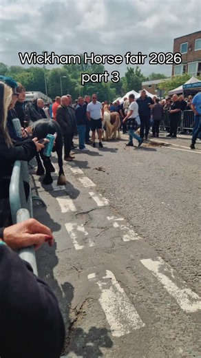 Wickham Horse Fair 2026 Highlights - Part 3