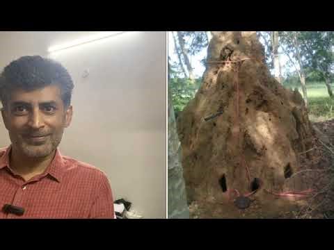 Valmiki’s Story | Meaning of Valmiki