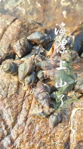 Discovering La Luo Mountain: A Hidden Gem Found at the Seaside