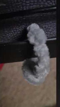 # watch chapter 1 video# spoilers, for chapter 2.