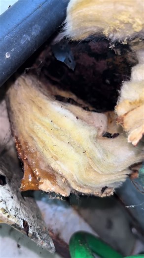 Dripping Technology: Satisfying Boiler Splits