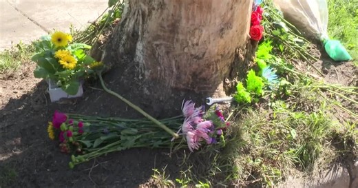 Person dies in early morning Appleton crash