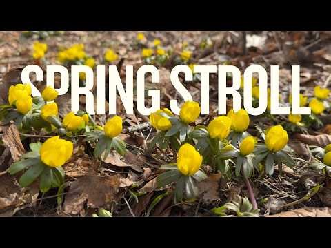 Ever so slowly ... spring | A garden stroll