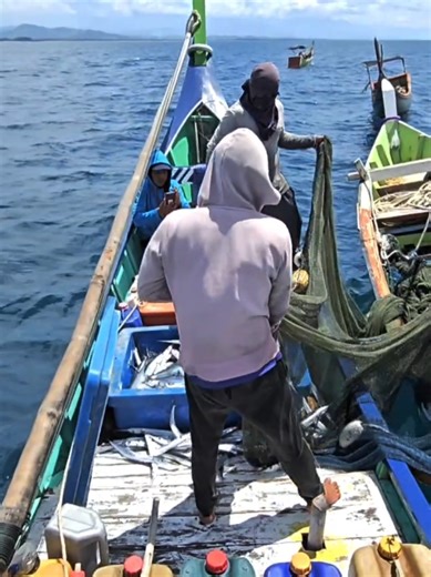 Purse Seine Net Boat Catches Fish #fishingnet #fypシ゚viral #fishing #fyp #fypシ