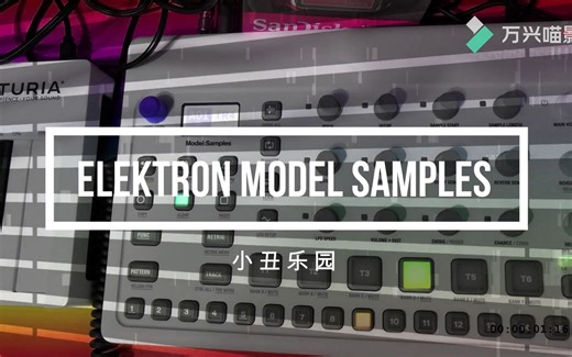 【小丑乐园】小玩ELEKTRON Model samples采样鼓机