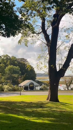 1.2K views · 197 reactions | Looking for the perfect fall destination...