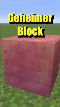 Secret Block | #larslp #minecraft #minecrafttutorial