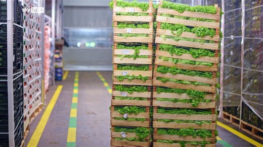 Sunrise 2027, dal codice a barre al QR code standard GS1