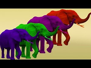 Learn Colors with Elephant Colors Song Colors Review
