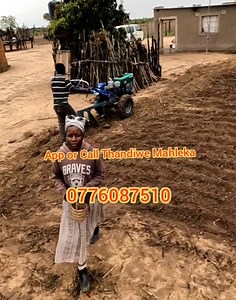 344 reactions · 92 comments | Ma Boss, This ploughing machine is a must have, get this for your parents or loved ones, I'm your plug.... #ruraldevelopment #RuralFarming #villagelife #bettertomorrow #thandiwemahleka | Thandiwe Mahleka | Facebook