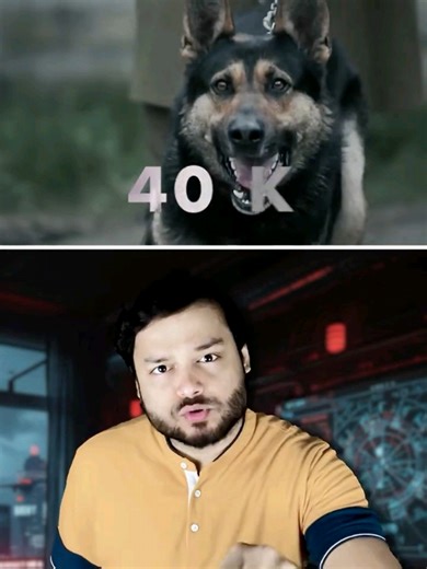 Everyone Wants TO CAPTURE This Dog AT ANY COST BUT WHY #dog #capture #amazingfacts #factTechz #knowledge