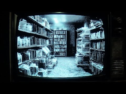 Notes from the Library at the End of Time