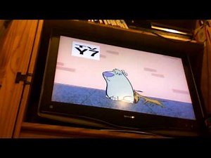 Two Stupid Dogs Intro